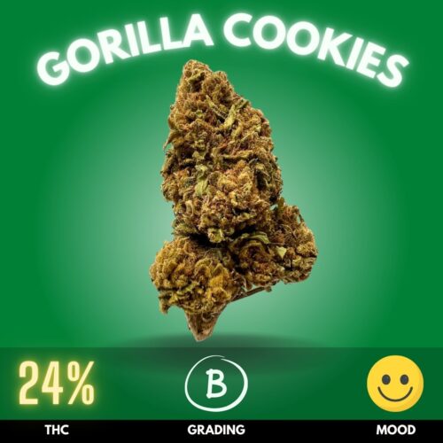 Gorilla Cookies online Thailand.