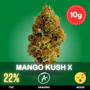 Mango Kush X, a remarkable cross between Mango Kush and Afghan Hash Plant