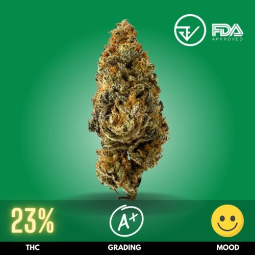 Monster Zkittlez is a premium cannabis strain renowned for its vibrant flavors and potent effects