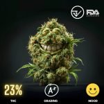 Monster Zkittlez is a premium cannabis strain renowned for its vibrant flavors and potent effects