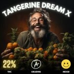 tangerine-dream-x-strain-thailand-hero