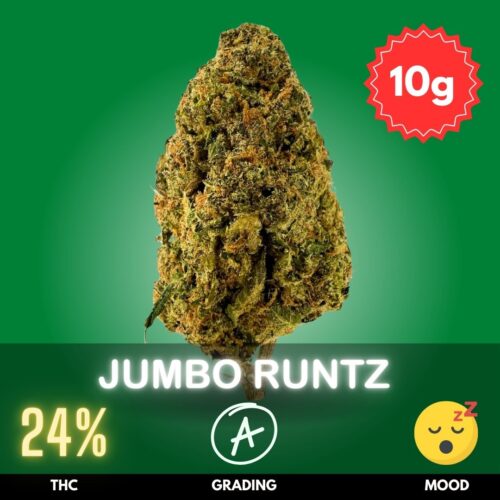 Jumbo Runtz (10 Pack)