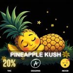 Pineapple Kush is a delectable hybrid strain that leans towards the Indica side