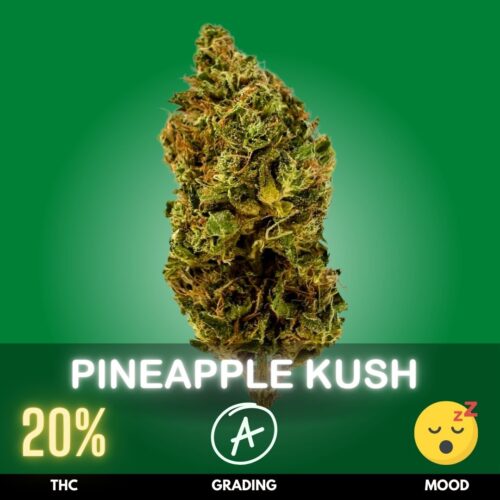 Pineapple Kush is a delectable hybrid strain that leans towards the Indica side