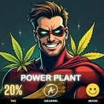 power-plant-cannabis-strain