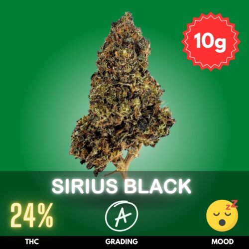 Sirius Black is a rare and captivating Indica-dominant cannabis strain known for its deep, dark purple hues and potent effects