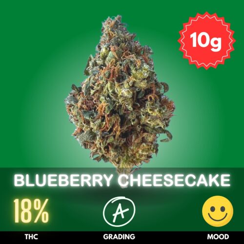 Blueberry Cheesecake is a delightful cannabis strain that tantalizes the senses with its unique blend of sweet, fruity flavors