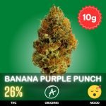 Banana Purple Punch cannabis strain sold online in Thailand.