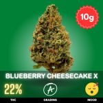 blueberry-cheesecake-x-cannabis-strain-10 Blueberry Cheesecake is a delightful cannabis strain that tantalizes the senses with its unique blend of sweet, fruity flavors