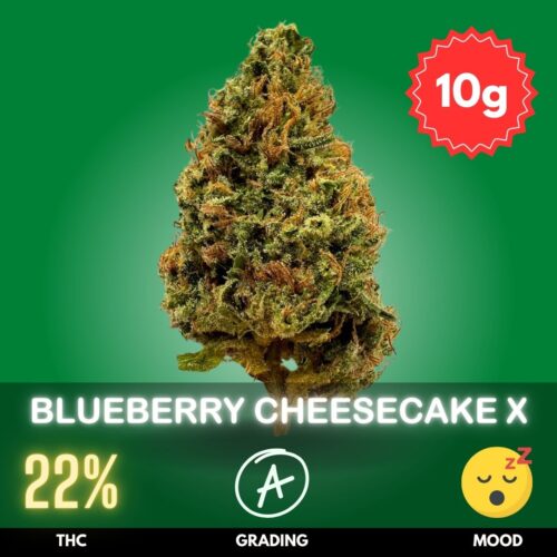 Blueberry Cheesecake is a delightful cannabis strain that tantalizes the senses with its unique blend of sweet, fruity flavors
