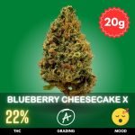 blueberry-cheesecake-x-cannabis-strain-20 The Blueberry Cheesecake X crossed with Zensation X is an exceptional hybrid strain, combining the sweet and fruity characteristics of Blueberry Cheesecake with the relaxing, body-soothing effects of Zensation