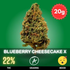 The Blueberry Cheesecake X crossed with Zensation X is an exceptional hybrid strain, combining the sweet and fruity characteristics of Blueberry Cheesecake with the relaxing, body-soothing effects of Zensation