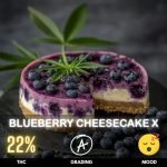 blueberry-cheesecake-x-cannabis-strain-hero