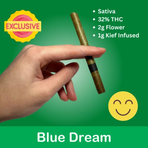 Blue Dream Cannagar, a Sativa-dominant hybrid cherished for its calming yet uplifting effects