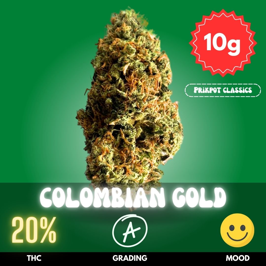 colombian-gold-cannabis-strain-thailand-10 Colombian Gold is a classic cannabis strain available in Thailand.