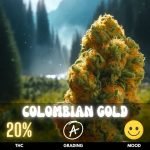 colombian-gold-strain-thailand-hero-10