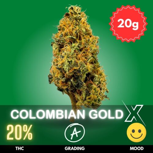 Colombian Gold X Pineapple Chunk is a classic cannabis strain available in Thailand.