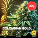 colombian-gold-x-strain-thailand-hero-20