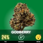 Godberry is a potent Indica-dominant strain that has gained popularity for its deeply relaxing effects