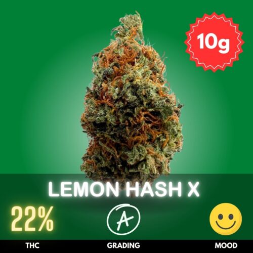 Lemon Hash X is a unique and flavorful hybrid flower that offers a harmonious blend of both Sativa and Indica effects.
