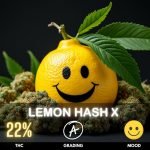 lemon-hash-x-cannabis-strain