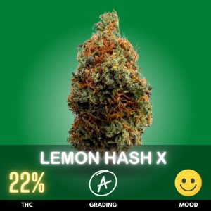 Lemon Hash X is a unique and flavorful hybrid flower that offers a harmonious blend of both Sativa and Indica effects.