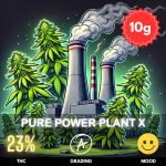 pure-power-plant-mimosa–cannabis-strain-thailand-10x