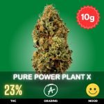 pure-power-plant-mimosa-cannabis-strain-thailand-10x Pure Power Plant crossed with Mimosa is a hybrid strain combining the best of both worlds from its parent strains