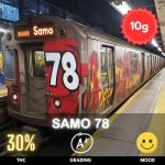 samo-78-strain-thailand-graffiti Samo 78 is an exotic hybrid strain, with a 70% Sativa and 30% Indica composition, and boasts an impressive 30% THC content