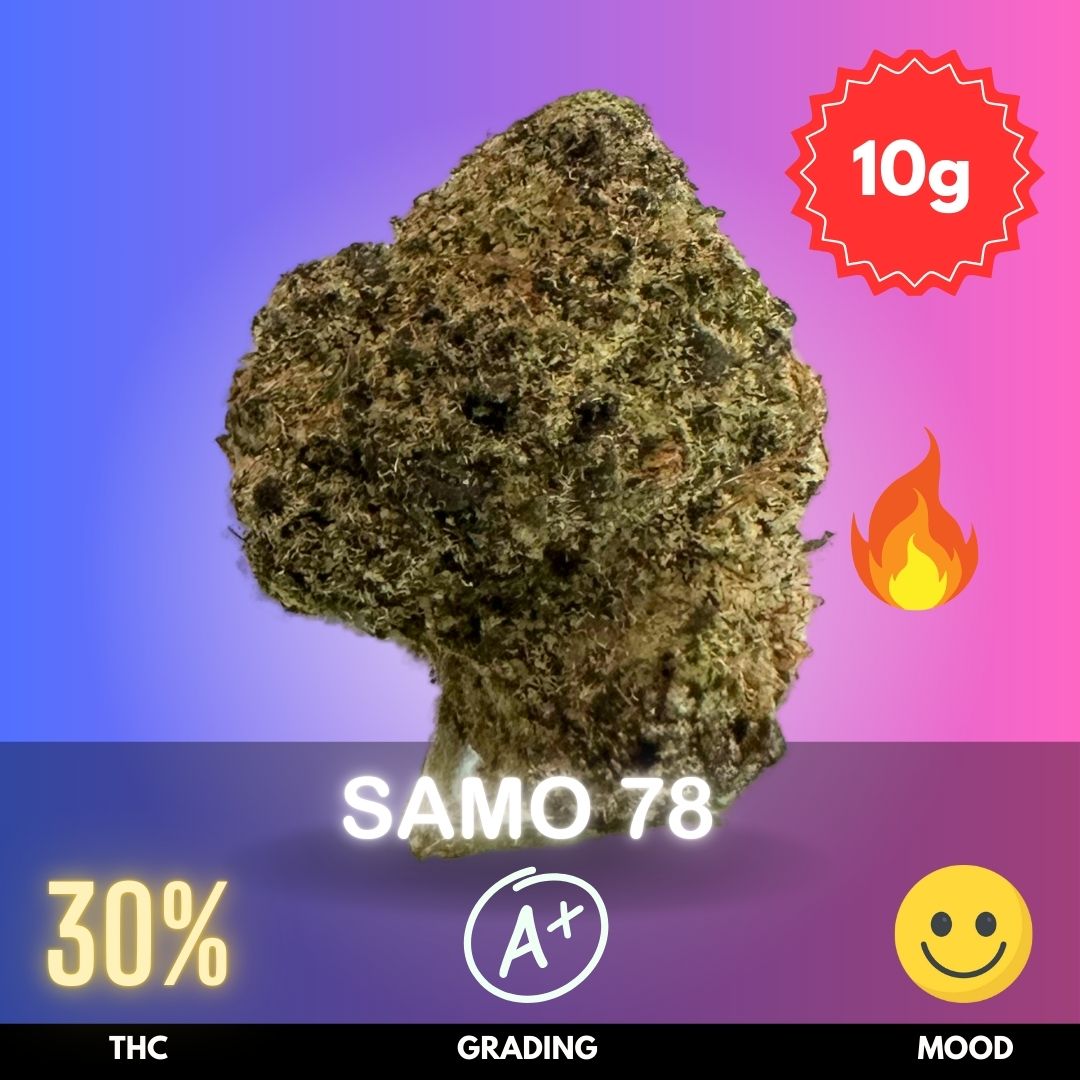samo-78-strain-thailand Samo 78 is an exotic hybrid strain, with a 70% Sativa and 30% Indica composition, and boasts an impressive 30% THC content