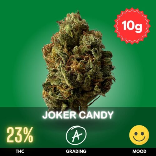 Candy is a balanced hybrid strain with a THC content that usually falls between 22-26%