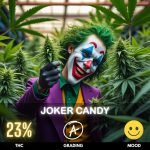 joker-candy-cannabis-strain-hero