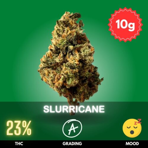 Slurricane is a popular Indica-dominant hybrid strain with a THC content that often ranges from 20-28%