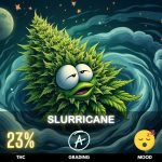 slurricane-cannabis-strain-hero Slurricane is a popular Indica-dominant hybrid strain with a THC content that often ranges from 20-28%