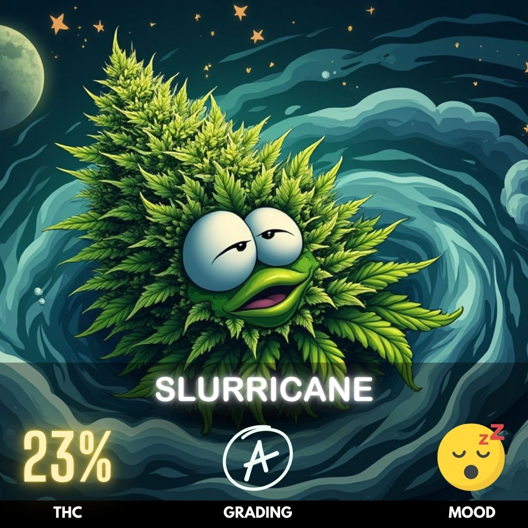 Slurricane is a popular Indica-dominant hybrid strain with a THC content that often ranges from 20-28%