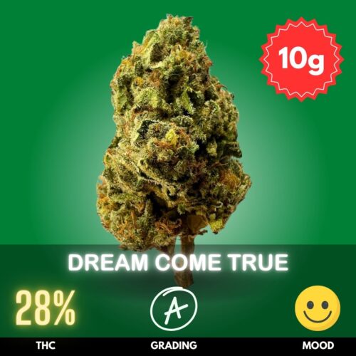 Dream Come True is an enchanting hybrid cannabis strain
