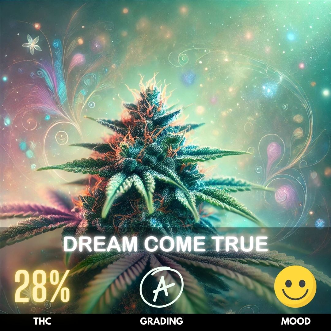 Dream Come True is an enchanting hybrid cannabis strain