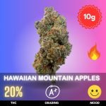 Hawaiian-Mountain-Apples-strain-thailand Hawaiian Mountain Apples, cultivated by the esteemed Thai Sticks, is a well-balanced hybrid strain