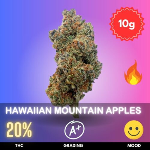 Hawaiian Mountain Apples, cultivated by the esteemed Thai Sticks, is a well-balanced hybrid strain