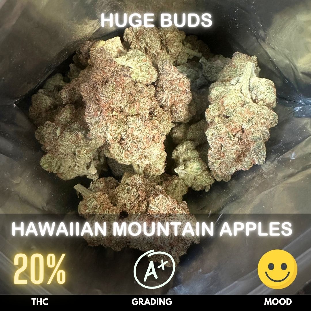 Hawaiian Mountain Apples, cultivated by the esteemed Thai Sticks, is a well-balanced hybrid strain