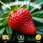 Strawberry-Kush-cannabis-strain-thailand-hero