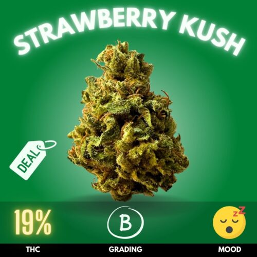 Strawberry Kush is a delightful hybrid strain with a THC content of 19%