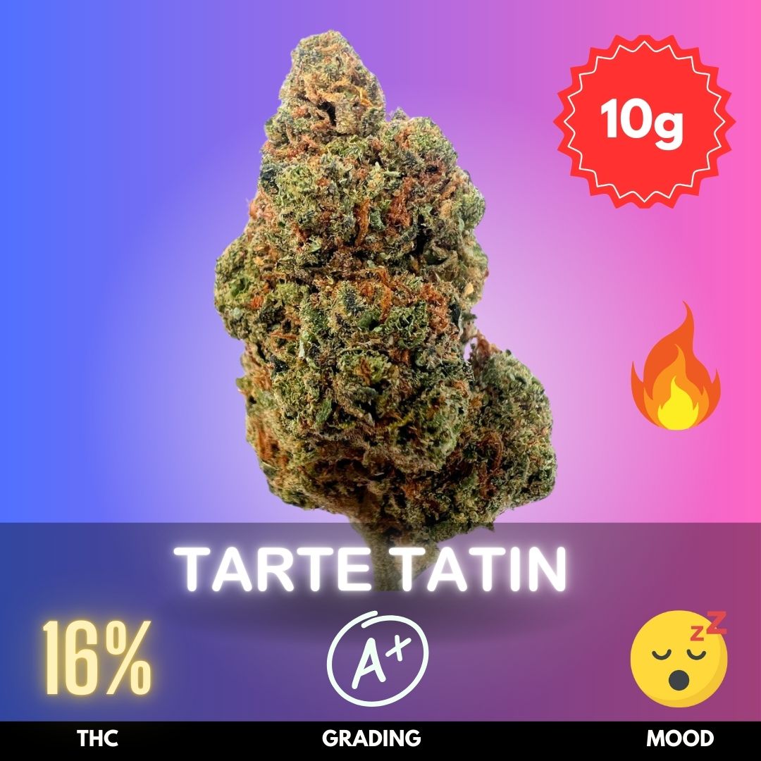 Tarte-Tatin-strain-thailand Tarte Tatin is a premium Indica-dominant hybrid strain