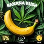 banana-kush-cannabis-strain-thailand-hero