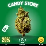 candy-store-cannabis-strain-thailand-online Candy Store is a vibrant and flavorful cannabis strain with a balanced THC level of 20%