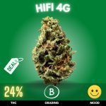 hifi-4g-cannabis-strain-thailand-online HiFi 4G is a potent and flavorful hybrid cannabis strain, celebrated for its high THC content of approximately 24%