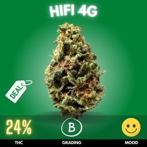 HiFi 4G is a potent and flavorful hybrid cannabis strain, celebrated for its high THC content of approximately 24%