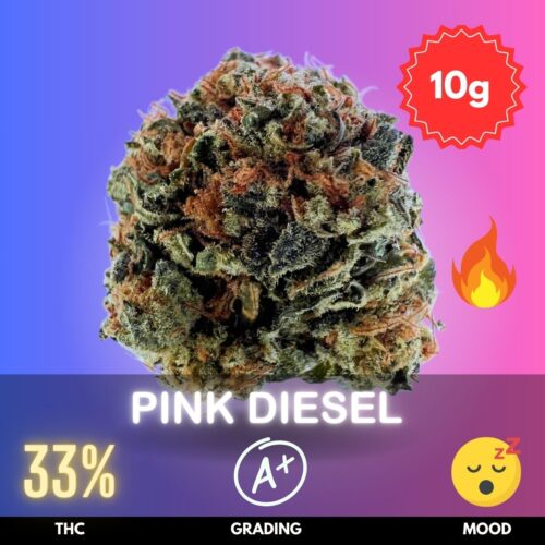Pink Diesel is a powerhouse hybrid strain with an impressive THC content of 33%