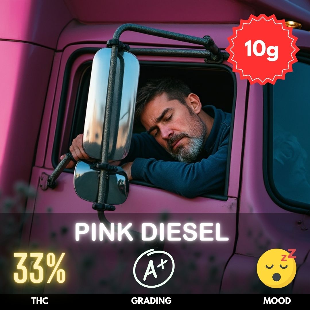 Pink Diesel is a powerhouse hybrid strain with an impressive THC content of 33%