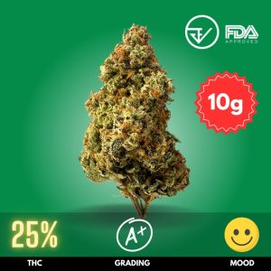 Super Lemon Haze is a celebrated cannabis strain known for its vibrant citrus flavor